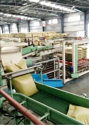 포지션 플랜트에 맞춤형 및 자동 피드 팔레티라이저 4100mm*1600mm*1450mm